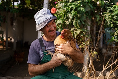 Bauer hält ein Huhn - Hühnerstall